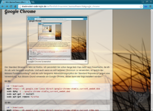 Mint basissoftware blackrocket coderstyle - google chrome 009.png