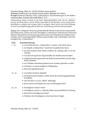 Exzerpt bachmann medick.pdf