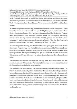 Exzerpt burckhardt.pdf